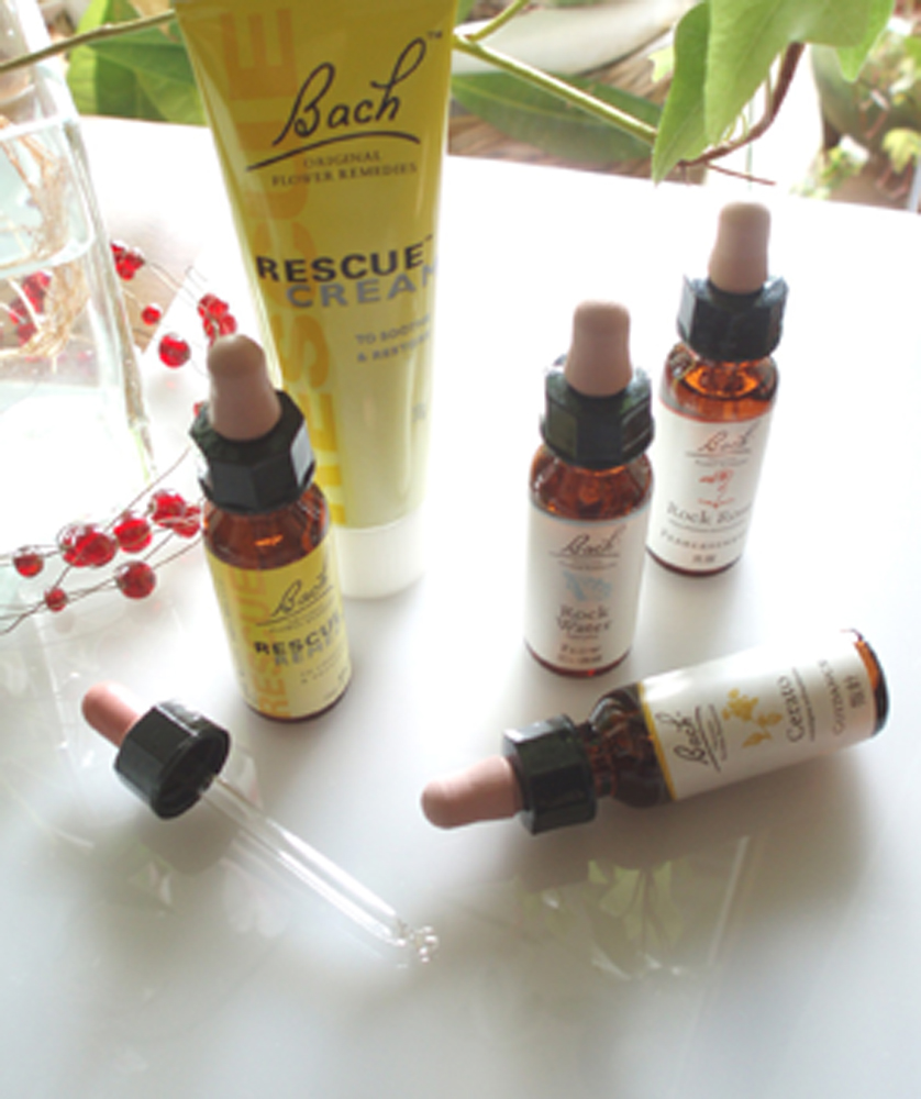 カルチャーアカデミー岐阜新聞・岐阜放送 講座画像