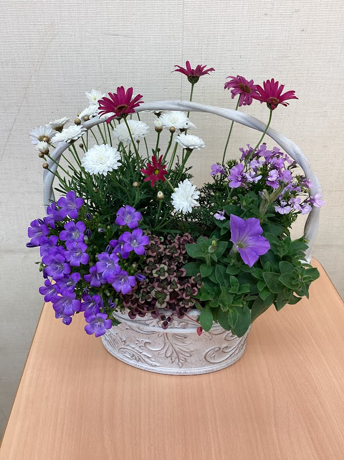 カルチャーアカデミー岐阜新聞・岐阜放送 講座画像